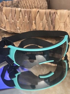 Small Dog Sunglasses NWT | UV Protection Teal Blue Pet Goggles